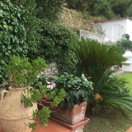 Paradise Villa